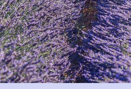 6월 국내 여행지 추천