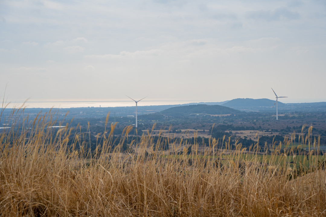 용눈이 오름 정상 풍경