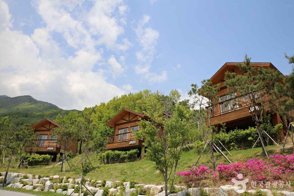 30대 혼자 가기 좋은 여행 추천 베스트 7