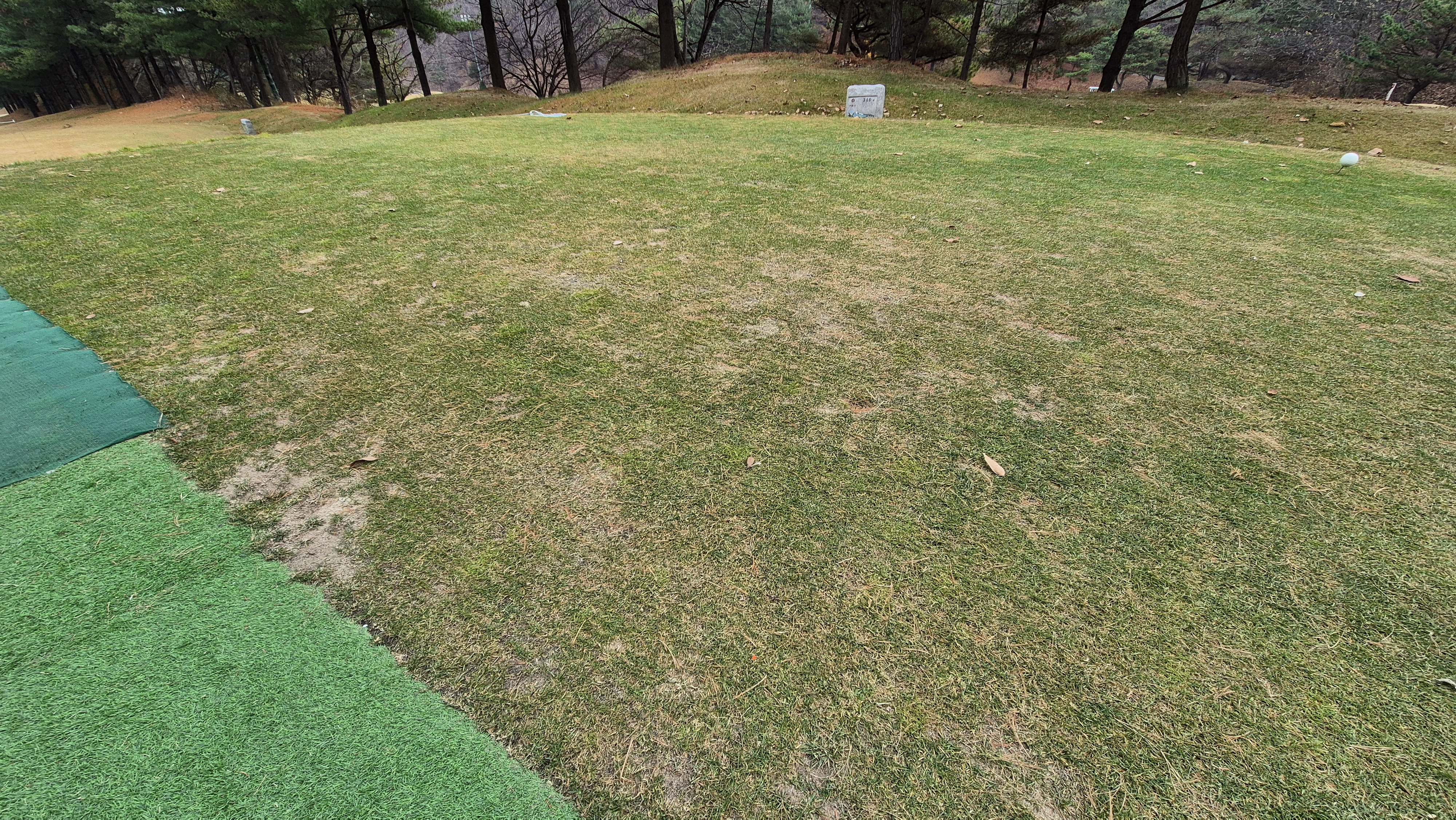 올데이 떼제베cc 가람-누리(서-남) 코스 티잉구역 상태