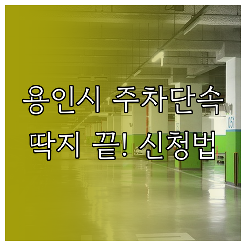 용인시 주정차 단속 알림 서비스 신청..