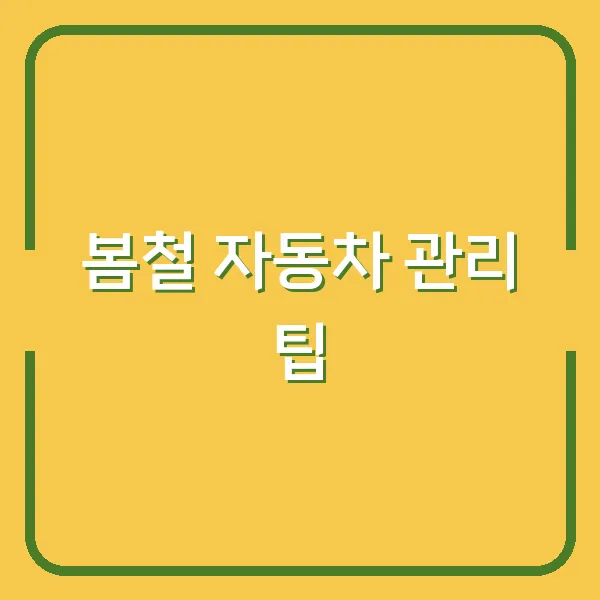 봄철 자동차 관리 팁
