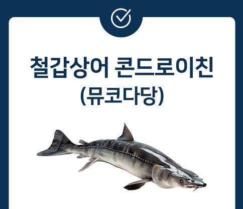 철갑상어-콘드로이친-효능