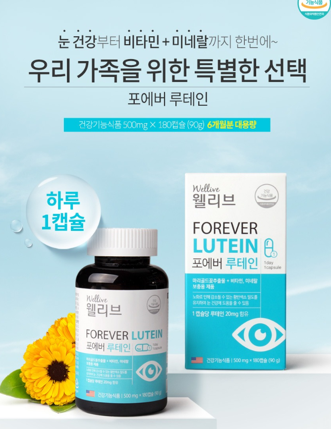 눈 영양제