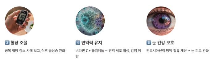 아로니아 효능