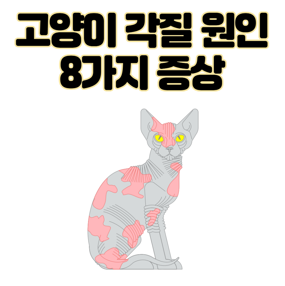 고양이 각질 원인 8가지 증상 및 치료 관리법 (ft. 비듬)