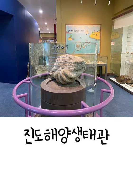 진도해양생태관