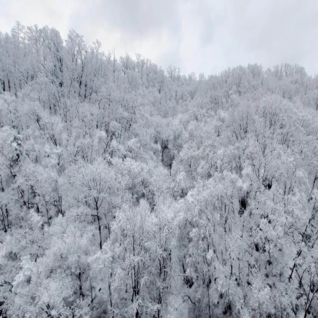 2025년 블랙아이스 대처법&amp;#44; 사고 방지