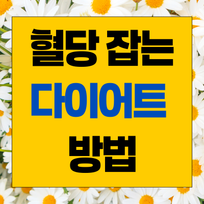 혈당 다이어트 방법