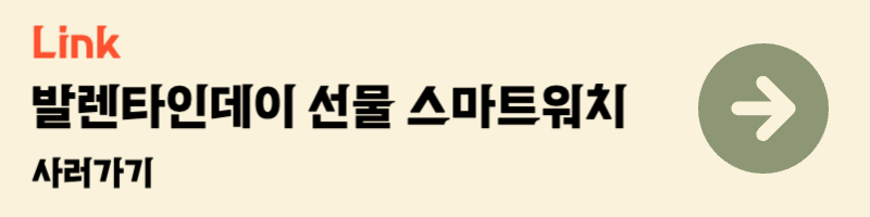 발렌타인데이 남편 남친 선물 추천 스마트워치 갤럭시워치 애플워치 가민 핏빗