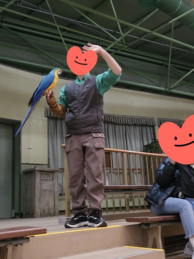 슈퍼윙즈 애니멀톡