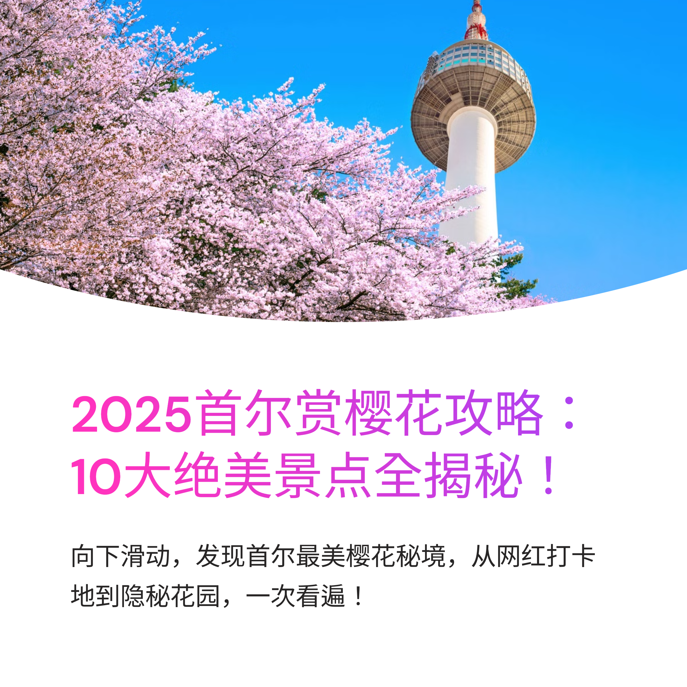 2025年首尔赏樱花胜地TOP 10完全指南 - 从网红打卡地到隐秘景点