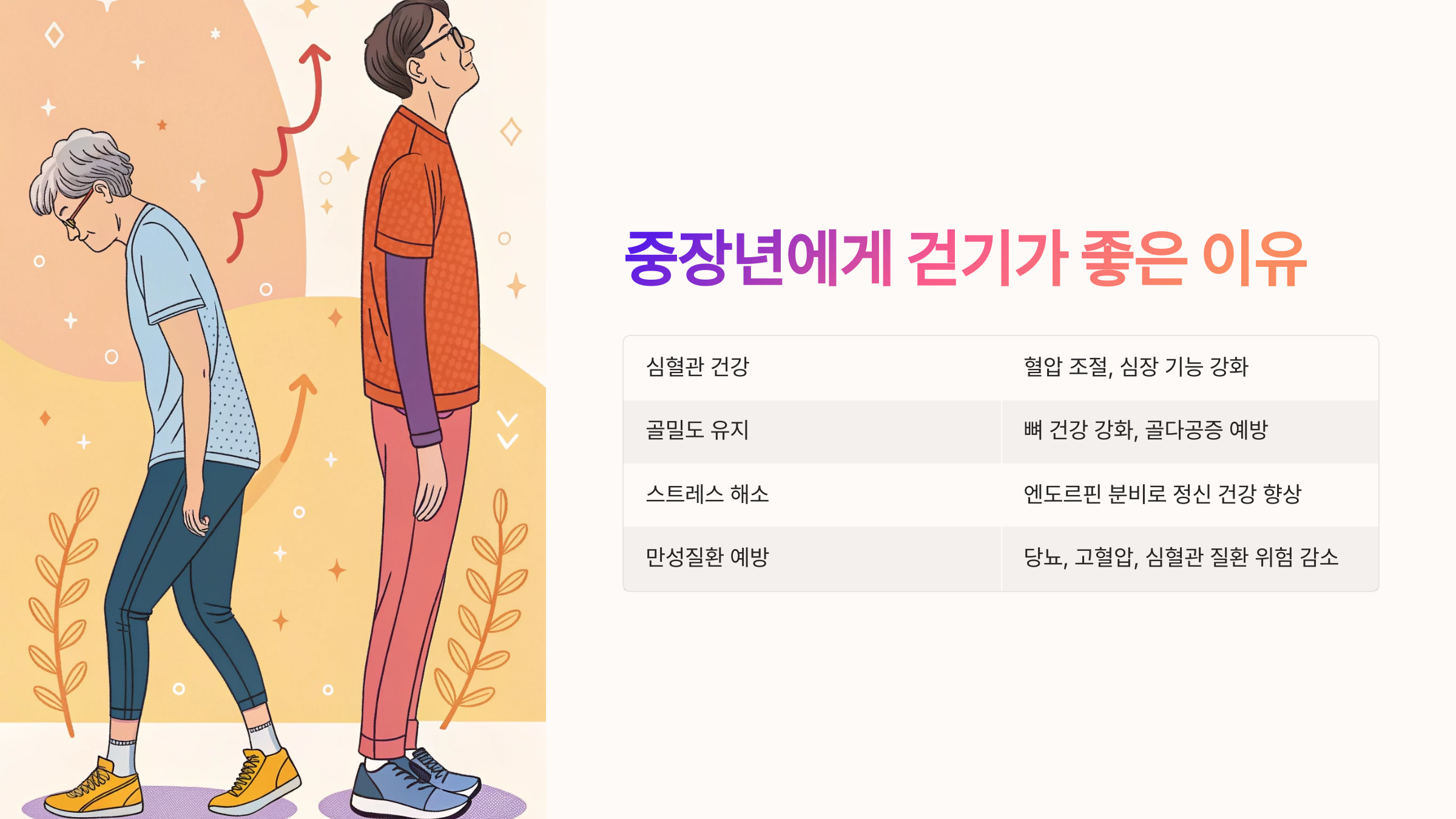 💪 중장년에게 걷기가 좋은 이유