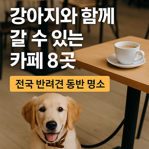 강아지와-함께-갈-수-있는-카페-8곳-전국-반려견-동반-명소