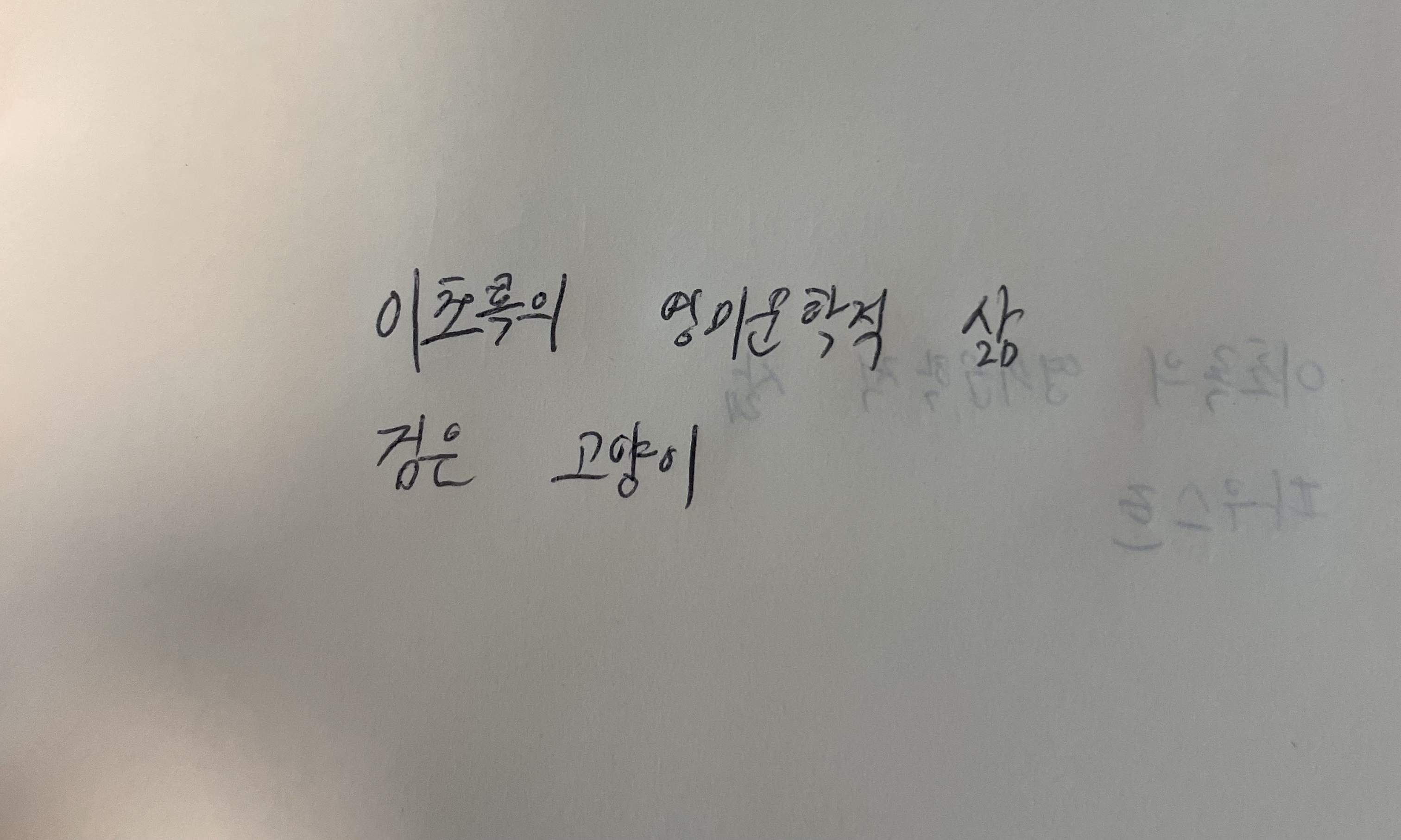 이초록의 영미문학적 삶- 검은 고양이 애드거 엘런 포 손글씨