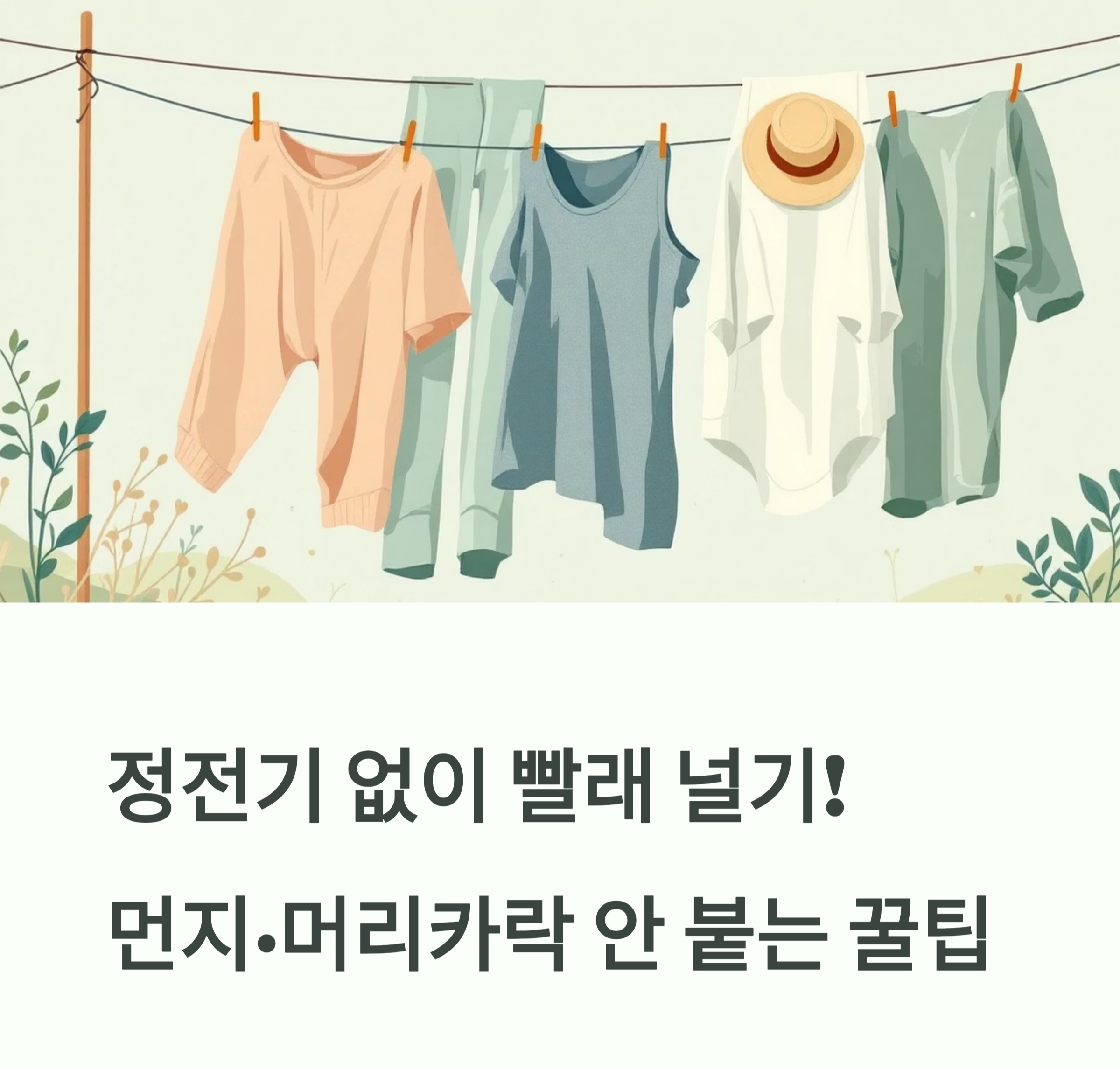 빨래 먼지 머리카락 안 붙는 꿀팁