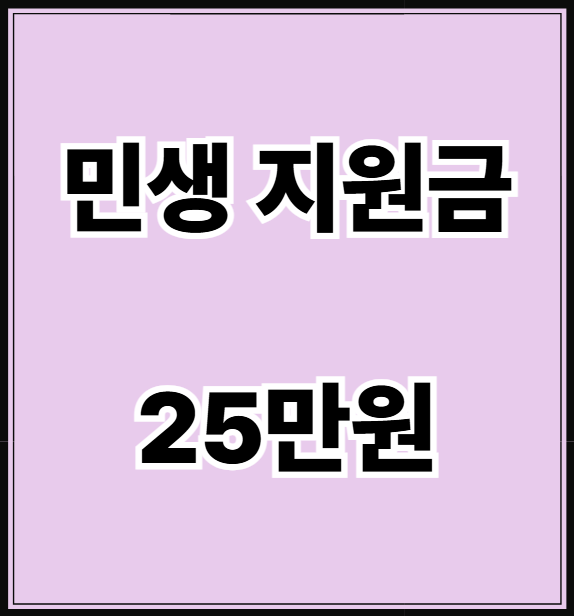 민생 지원금