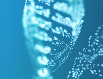 신라젠 주가 현황과 주가 전망