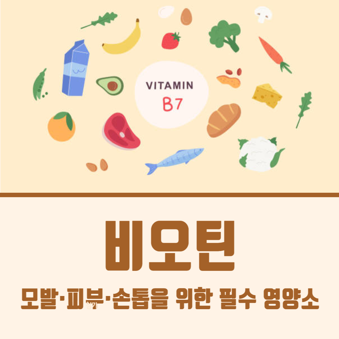 비오틴