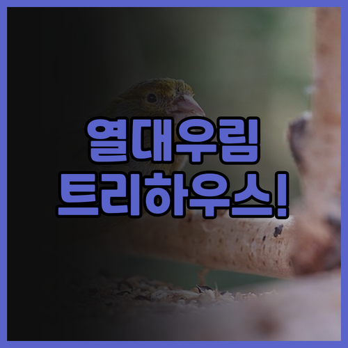 페르마이 레인포레스트 리조트 후기 열..