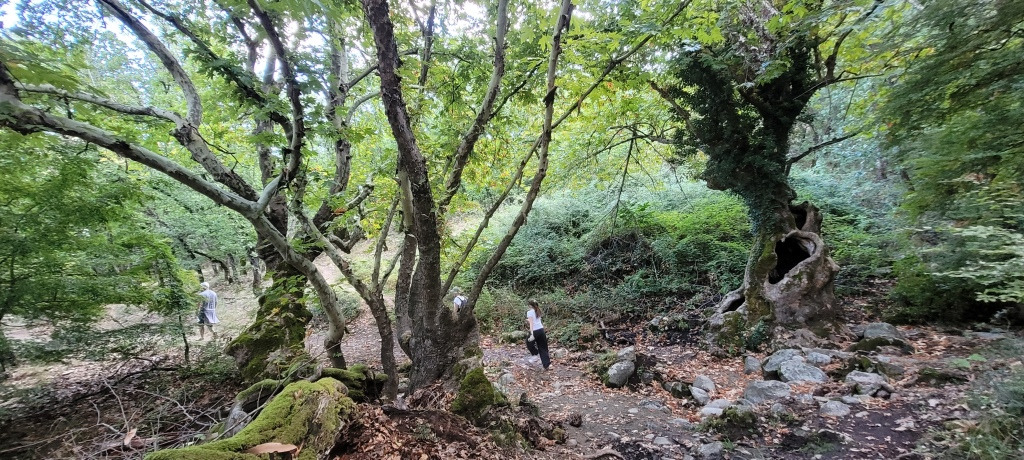 그리스 메테오라: 메테오라로 혼자 여행하기