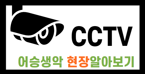 제주오름 어승액악 cctv
