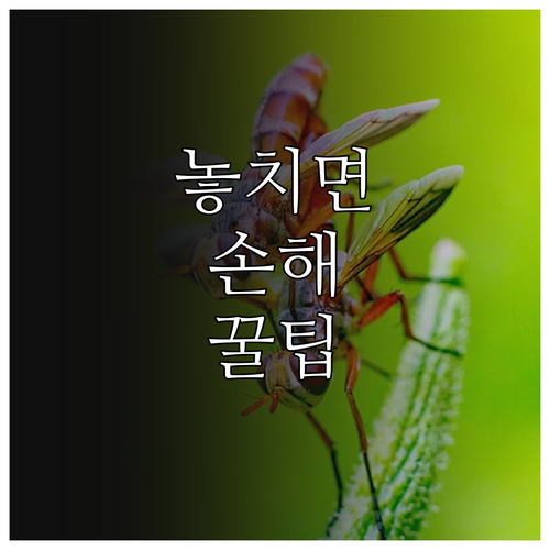 2025 함안군 고졸 검정고시 장학금..