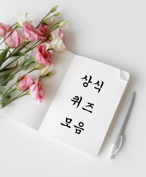 상식-퀴즈-모음