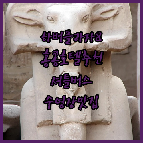 홍콩 하버 플라자 8 디그리스 후기 ..