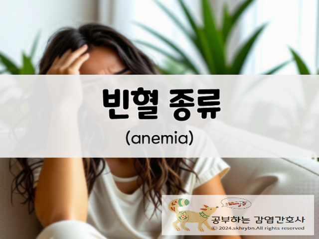 생리 중 어질어질.. '1일1커피'가 원인?? '빈혈(anemia)': 원인 및 증상 그리고 보험적용수치