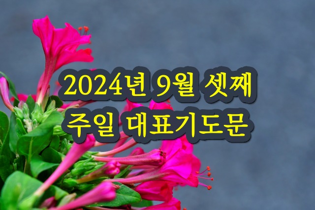 2024년 9월 15일 주일 대표 기도문