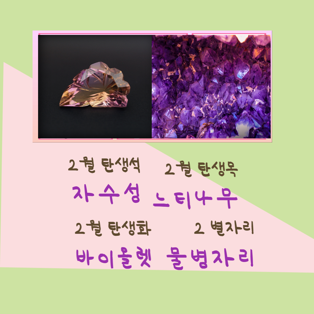 2월의 탄생석 탄생목 탄생화