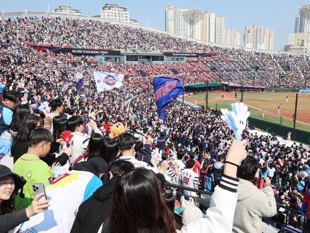 야구 중계 100배 재밌게 보는 법