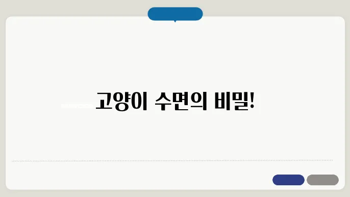 고양이 낮잠이 많은 이유, 하루 평균수면슬주은?