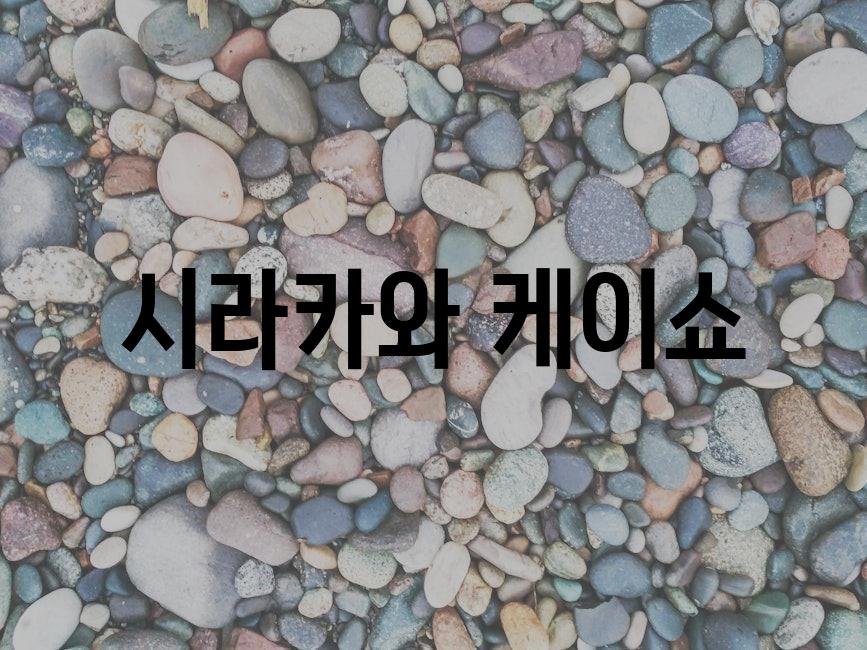 샘플 (82)