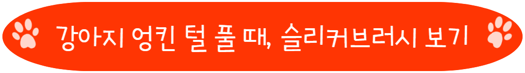 강아지 엉킨 털 풀 때, 슬리커브러시 보기