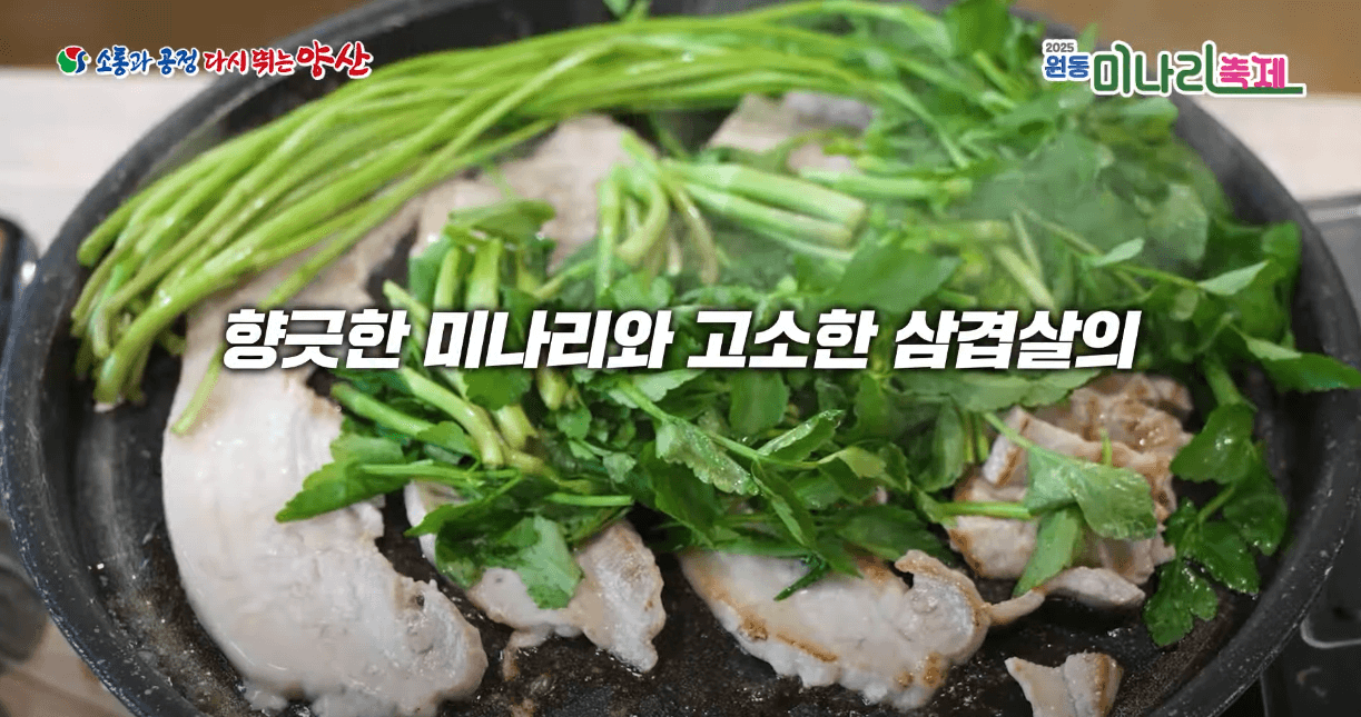 원동 미나리축제