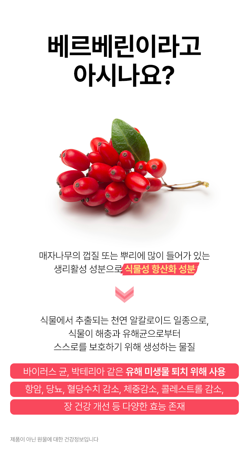 베르베린이라고 아시나요?