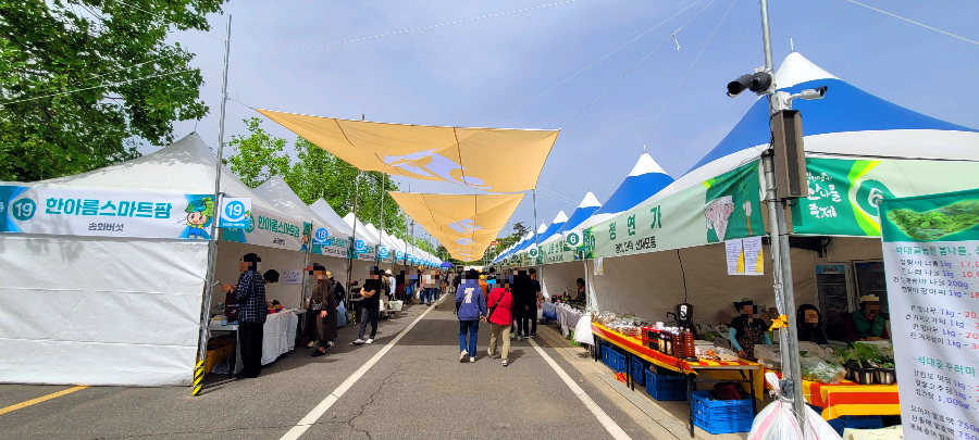 홍천 산나물 축제장
