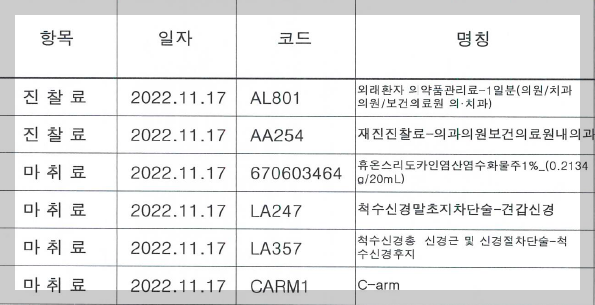 신경치료주사-내역