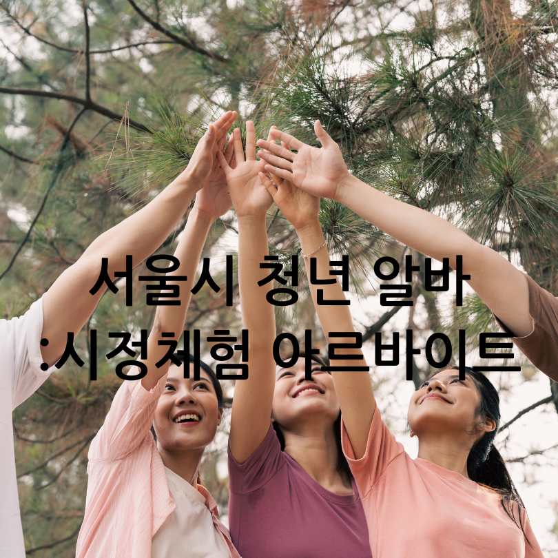 서울시 청년알바