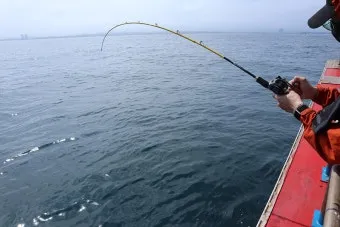 초보 바다낚시 최고 추천 명소 쉽게 낚시할 수 있는 추천 장소 5곳_20