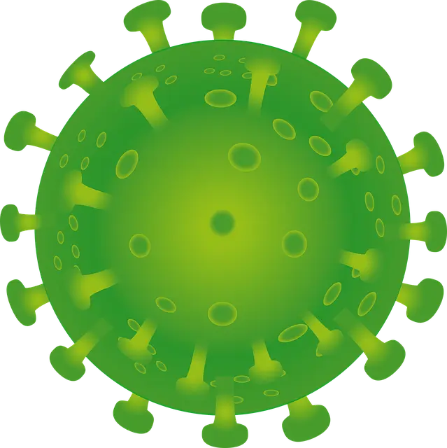 자가면역질환을 겪는 삶에서 중요한 것.