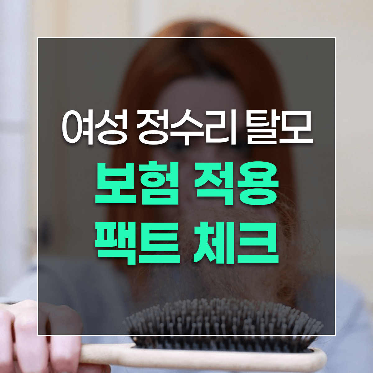 여성 정수리 탈모 보험 적용 팩트 체크