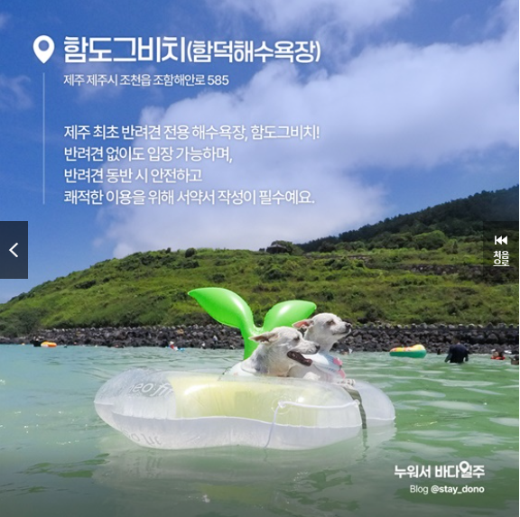 함도그비치｜제주 제주시 함덕해수욕장