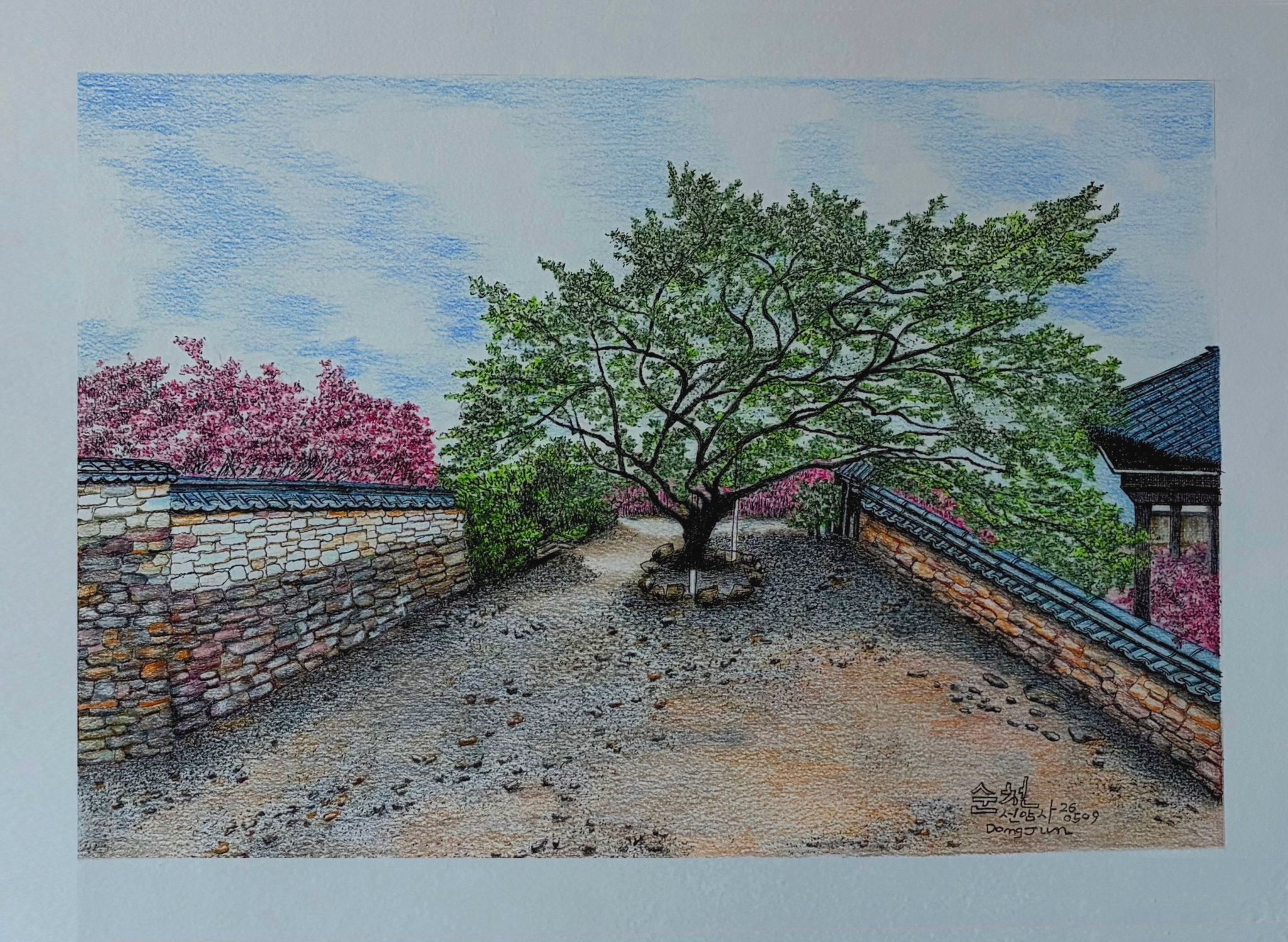 색연필 채색 최종본