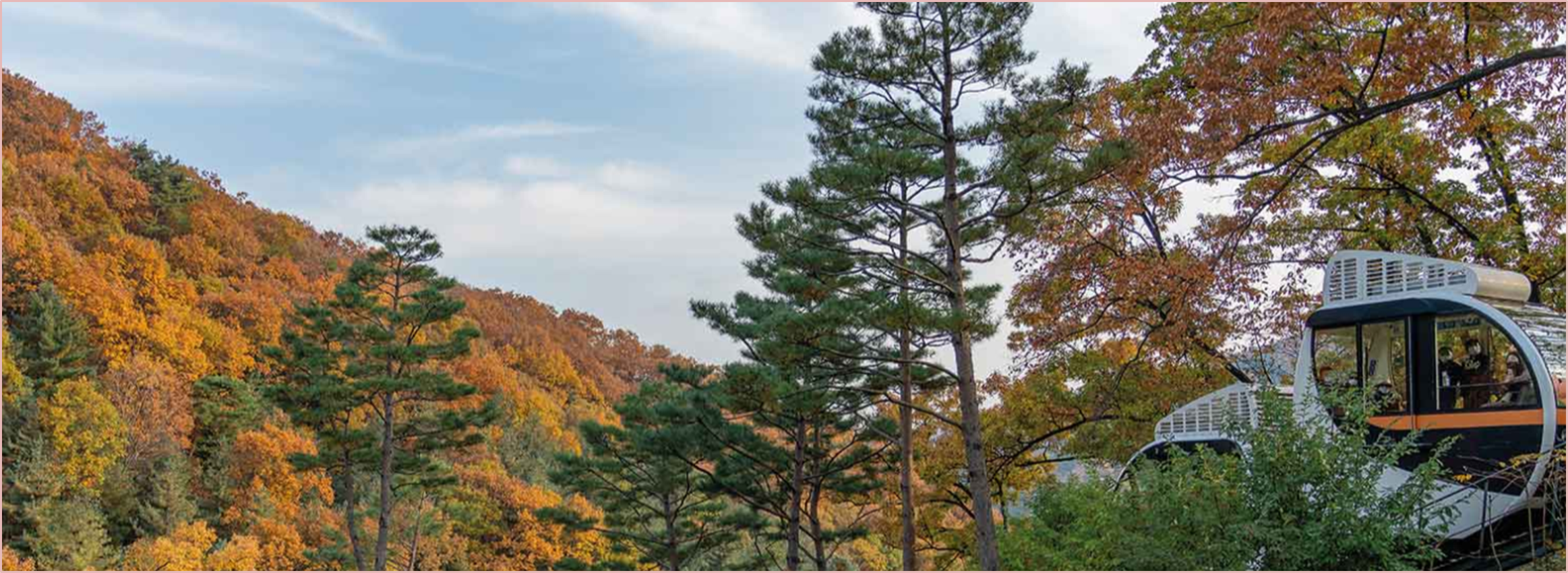 화담숲-가을단풍축제