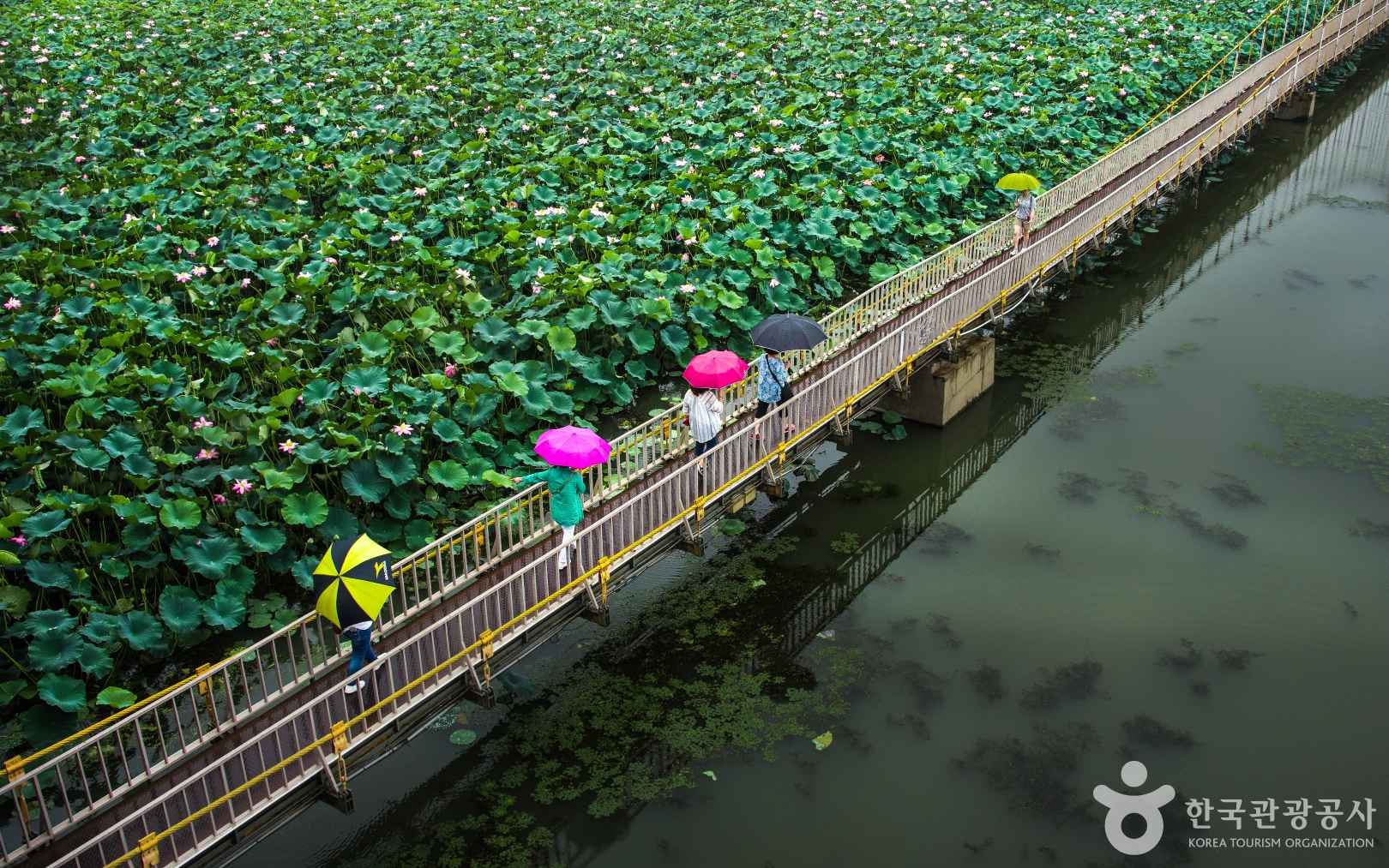 전주 덕진공원