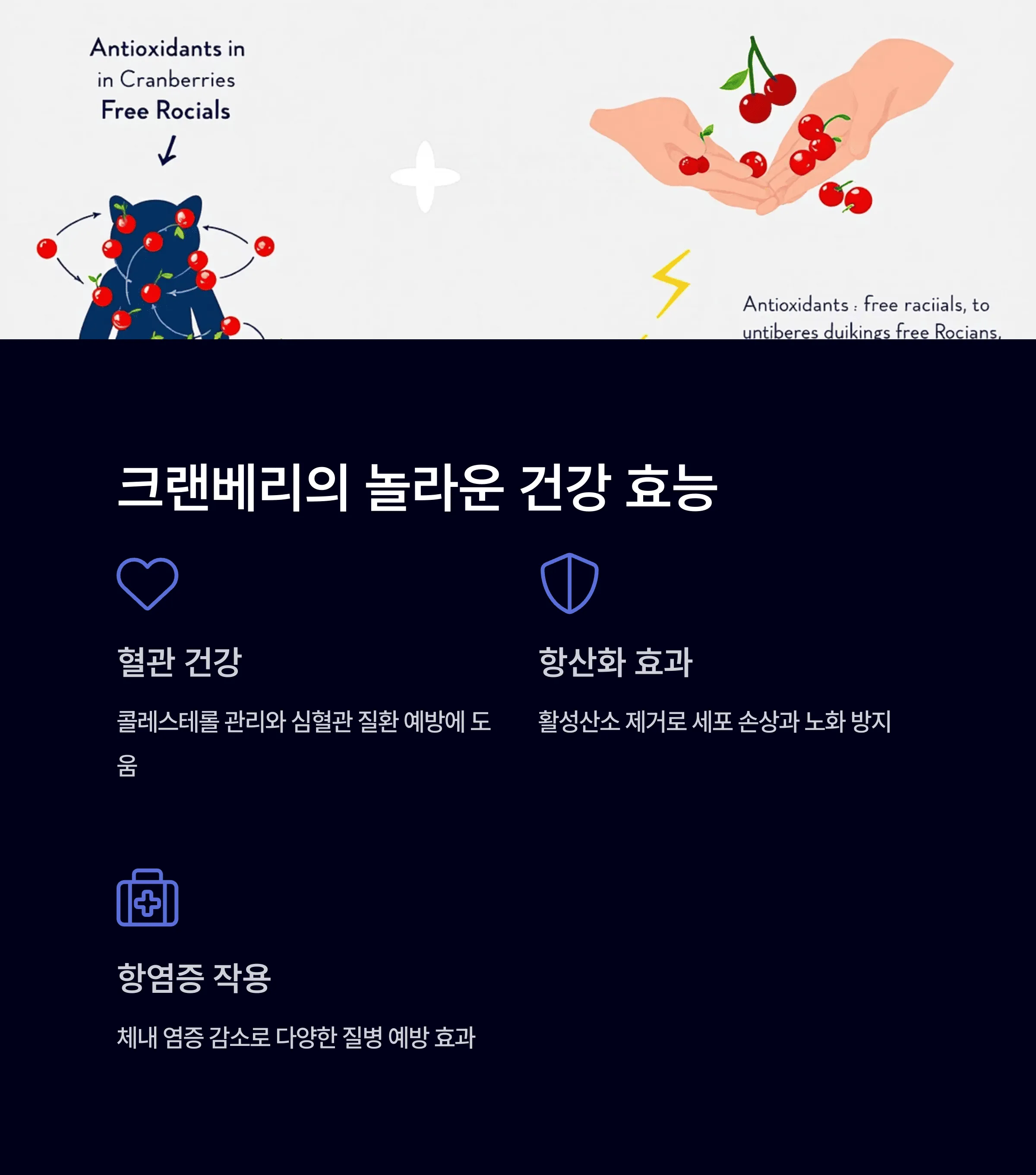 크랜베리 효능과 영양제 추천, 여성건강에 좋은 이유
