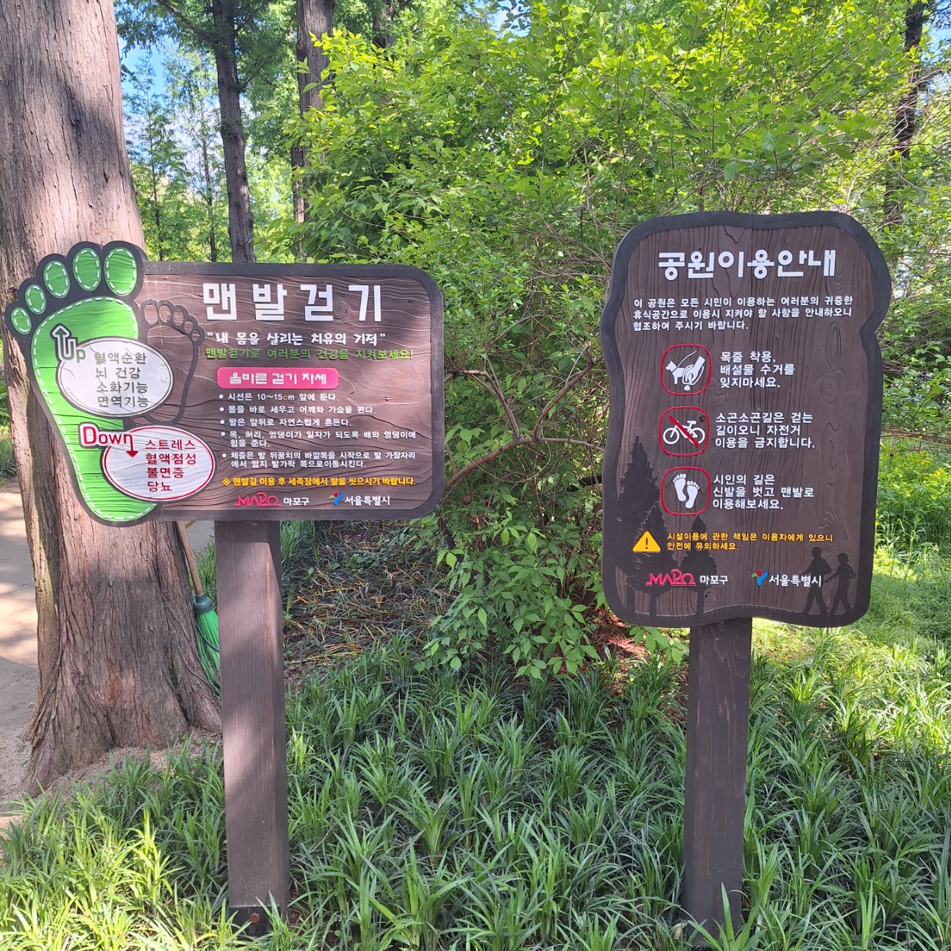 서울 둘레길 15코스-하늘공원 메타세콰이어숲길